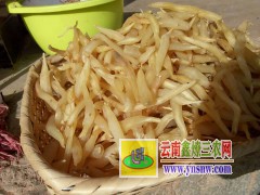 麗江大天冬種苗銷(xiāo)售，云南大天冬種子種植技術(shù)圖3