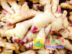云南小黃姜干片%羅平縣永和農(nóng)業(yè)種植專業(yè)合作社_干姜塊出售-羅平干姜圖1