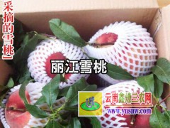 麗江雪桃價格_麗江雪桃多少一斤_麗江雪桃有多大圖3