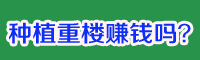 種植重樓賺錢嗎？