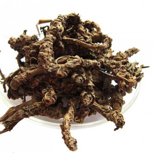 板藍(lán)根供應(yīng)商家_小統(tǒng)貨板藍(lán)根價(jià)格