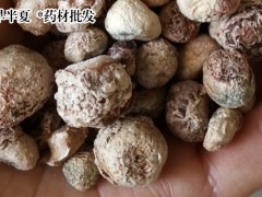 今日旱半夏市場價格_今日鮮貨行情圖1