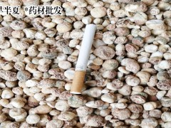 今日旱半夏市場價格_今日鮮貨行情圖3