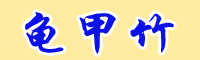 目前龜甲竹市場(chǎng)價(jià)怎么樣?