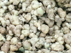 黃精種植每畝產多少斤？種植黃精的種類？圖2