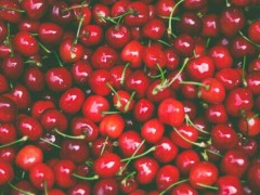 種10畝櫻桃大概賺要多少錢？如今種植賺錢嗎？圖1