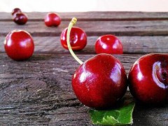 櫻桃樹(shù)苗種植技術(shù)性詳細(xì)介紹！栽種哪些種類好？圖3
