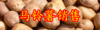 2020年馬鈴薯價(jià)格分析-行情價(jià)格多少錢？種植賺錢嗎？