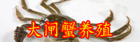 大閘蟹的行情怎么樣？大閘蟹的做法
