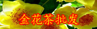 “茶族皇后”金花茶價(jià)格多少錢一斤？種植前景怎么樣？