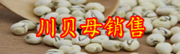 名貴中藥材川貝母種植效益如何？什么時候種植？