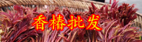 “天下第一山珍”香椿是什么？多少錢一斤？