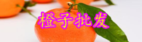 “橙子變種”血橙種植方法介紹！