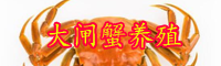 “傳統(tǒng)名貴水產(chǎn)品”大閘蟹養(yǎng)殖方法介紹！