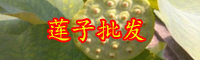 “水上人參”蓮子怎么吃能改善睡眠？去芯好還是不去芯好？
