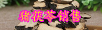 多孔菌科豬苓產(chǎn)自哪里？種子大概多少錢一斤？