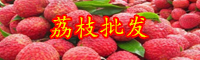 “果中之王”荔枝種植方法介紹！