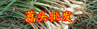 “菜中靈芝”藠頭是大蒜嗎？什么人不能吃？