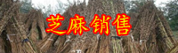八谷之冠“芝麻開(kāi)花節(jié)節(jié)高”是什么意思？