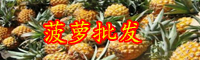 2020年云南菠蘿的價(jià)格是多少錢一斤？種植方法要點(diǎn)有哪些？
