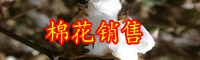 云南棉花新價格是多少錢一斤？未來種植前景如何？