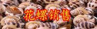 云南花螺價格多少錢一斤？要煮多長時間？