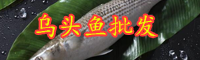 云南烏頭魚價(jià)格在多少錢一斤？垂釣時(shí)間在什么時(shí)候？