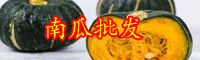 云南南瓜的別名叫什么？現(xiàn)在價格大概多少錢一斤？
