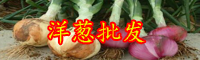 孟加拉國洋蔥漲9倍！為什么漲這么多？現(xiàn)在多少錢一斤？