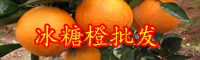 云南現(xiàn)在冰糖橙多少錢一斤？種植前景如何？