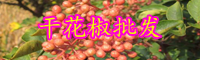 云南干花椒一般多少錢(qián)一斤？種植50畝需要投資多少錢(qián)？