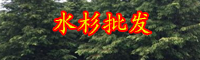 云南“水杉樹(shù)”主要分布在哪？一棵30年樹(shù)齡價(jià)格是多少？