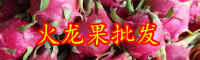 云南火龍果種苗價(jià)格是多少錢(qián)一棵？什么時(shí)候種植？