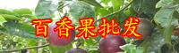 云南百香果苗批發(fā)多少錢(qián)一棵？它品種有哪些？