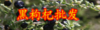 云南黑枸杞樹苗價格多少錢一棵？在北方能種植嗎？