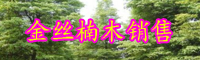 云南金絲楠木樹一般多少年成材？苗價(jià)格多少錢一棵？
