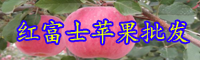 云南紅富士蘋(píng)果樹(shù)苗價(jià)格多少錢(qián)一株？