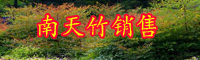 云南常綠小灌木南天竹在北方能養(yǎng)活嗎？