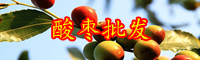 云南灌木酸棗樹(shù)小苗價(jià)格多少錢一棵？