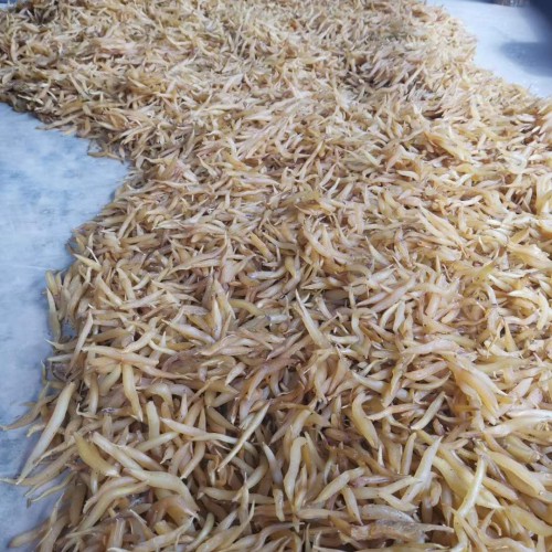 中藥材天冬種植前景怎樣？成本費(fèi)盈利大約要多少錢一畝？