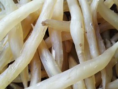 天冬種植技術_云南大天冬哪里有銷售？圖2