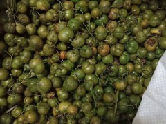 黃精的銷售市場價格多少？泡茶喝的作用有什么？圖3
