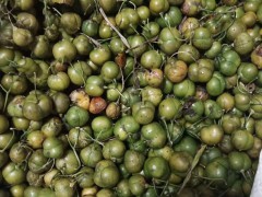 黃精價(jià)錢多少錢一斤？種植前景和經(jīng)濟(jì)效益如何？圖2