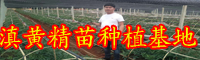 天然的黃精價(jià)錢多少錢一斤？什么樣人不可以吃？和哪些一起吃好是？