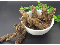 羌活農(nóng)戶種子的種植方法，羌活種子多少錢一斤？圖3