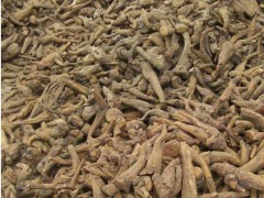 四川大黃種子多少錢一斤？種植一畝大黃需要多少斤種子？圖3