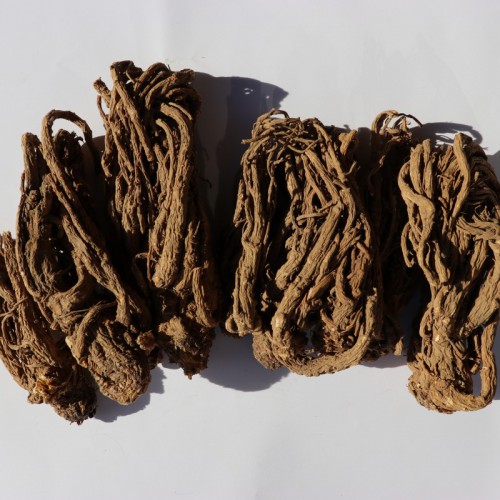 昆明當歸苗#多花滇黃精苗批發(fā)，五葉滇黃精種苗供應
