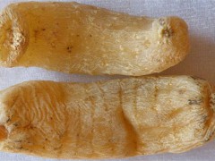 秋城印象?云南特產|訂購熱線 【昭通天麻專賣店】圖1