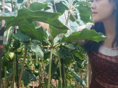 保持重樓種植土壤水分在30-40%范圍內(nèi)*重樓苗培育基地圖片圖3