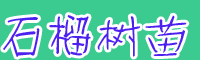 2020年軟子(無(wú)子)大概多少錢一棵？一般什么時(shí)候移栽好？